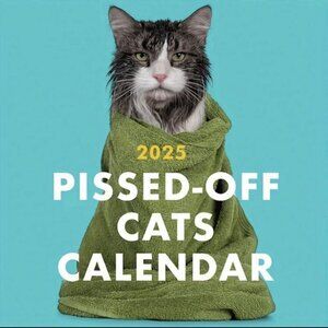 2025 Pissed-Off Cats Calendar 12-Month Wall Calendar For Cat Lovers Humorous